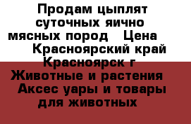 Продам цыплят суточных яично- мясных пород › Цена ­ 130 - Красноярский край, Красноярск г. Животные и растения » Аксесcуары и товары для животных   